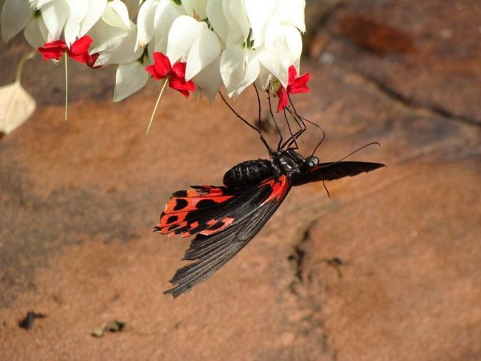 Прикольные картинки (88 фото)