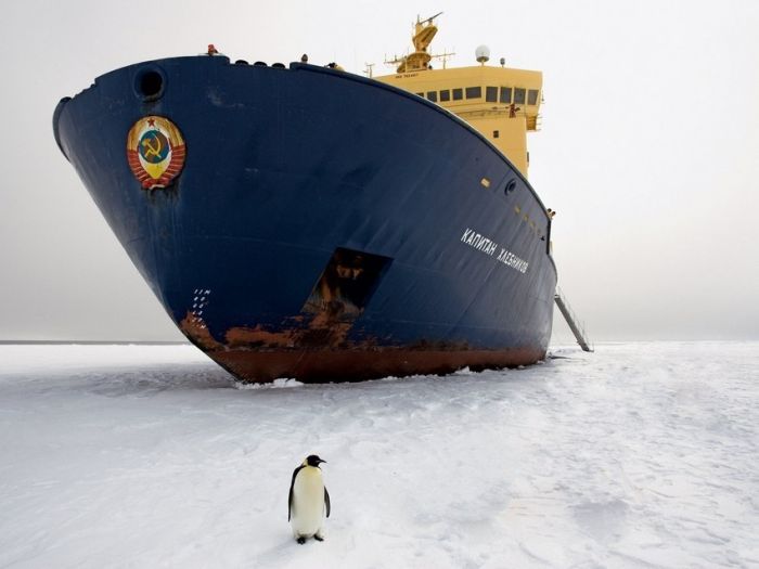 Прикольные картинки (91 фото)