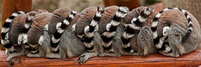 Прикольные картинки (91 фото)