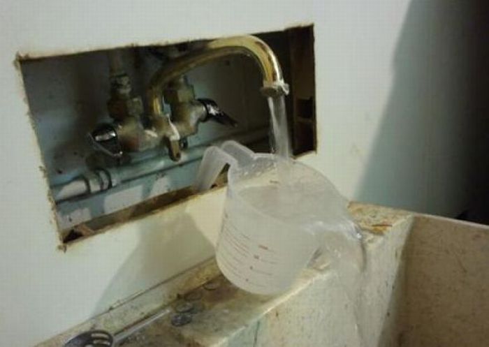 Прикольные картинки (102 фото)