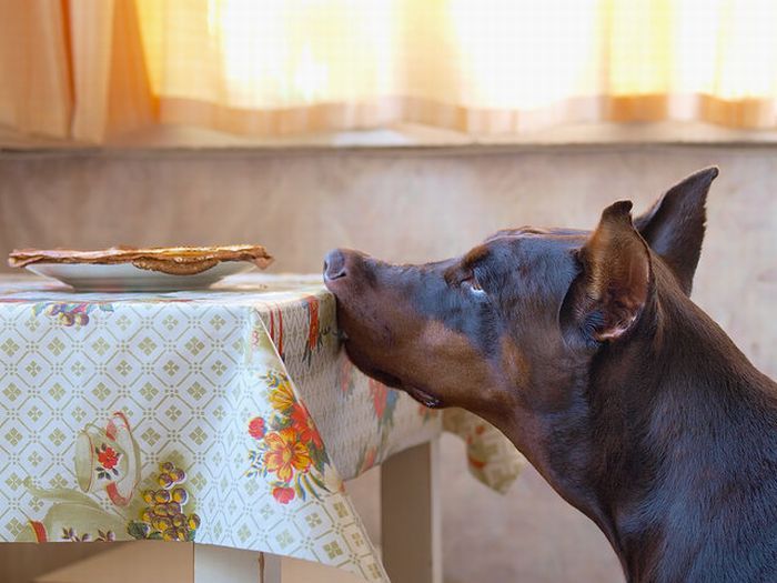 Прикольные картинки (102 фото)