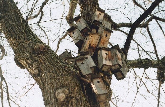 Прикольные картинки (102 фото)