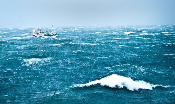 Прикольные картинки (102 фото)