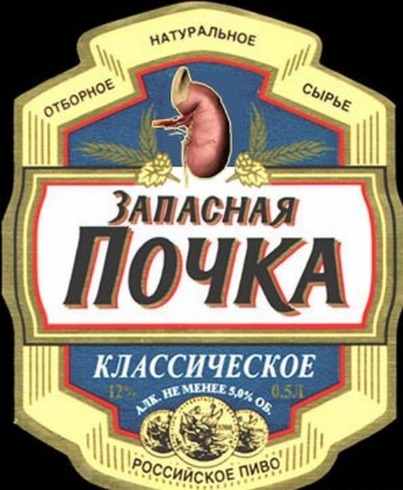 Прикольные картинки (102 фото)