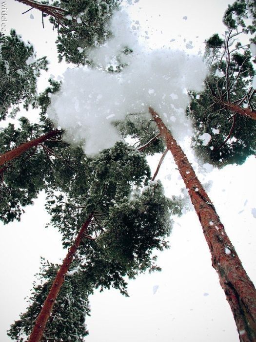 Прикольные картинки (102 фото)