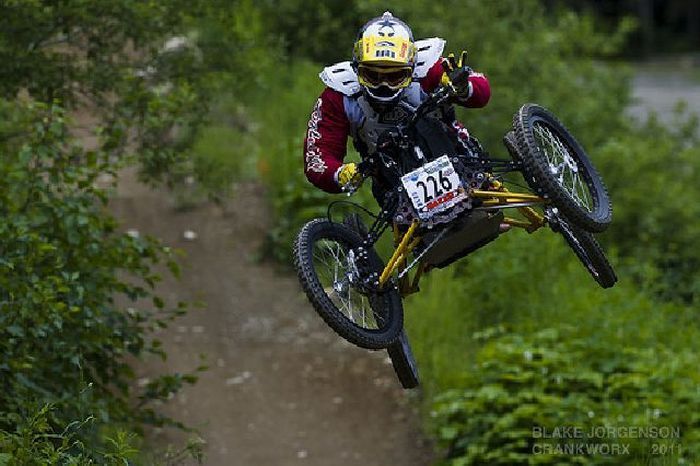 Прикольные картинки (102 фото)