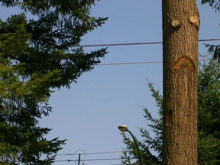 Прикольные картинки (98 фото)