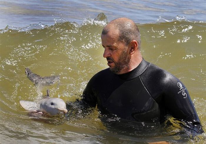 Прикольные картинки (98 фото)