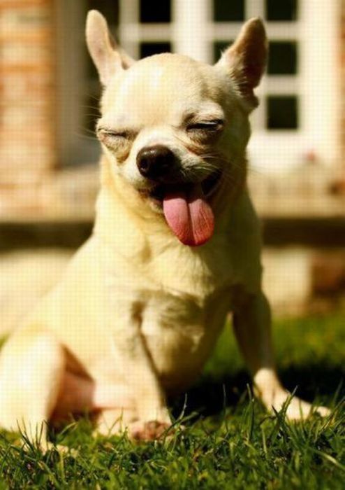 Прикольные картинки (98 фото)