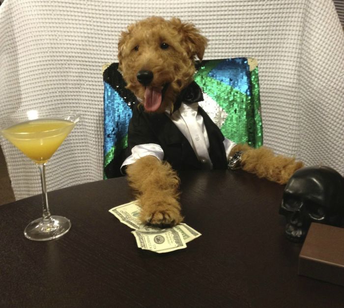 Прикольные картинки (85 фото)