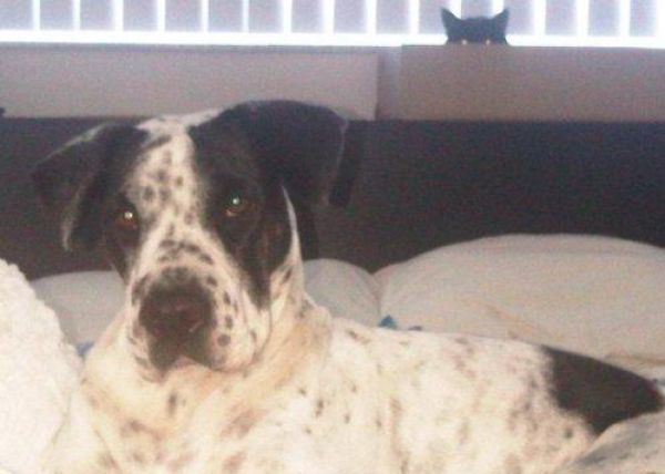 Прикольные картинки (85 фото)