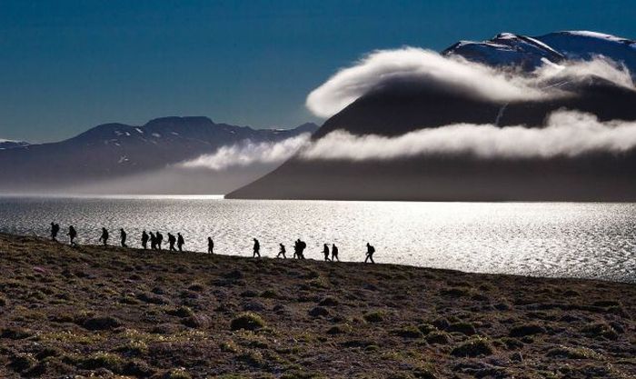 Прикольные картинки (111 фото)