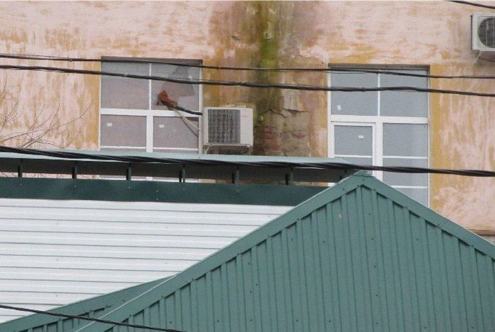 Прикольные картинки (80 фото)