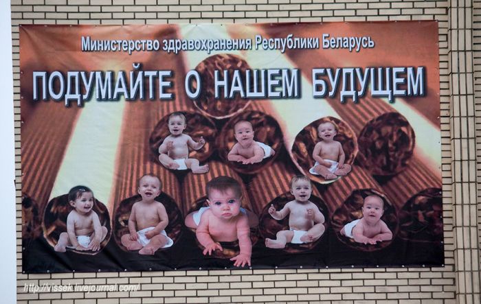 Прикольные картинки (80 фото)