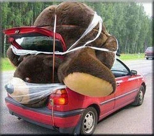 Прикольные картинки (80 фото)