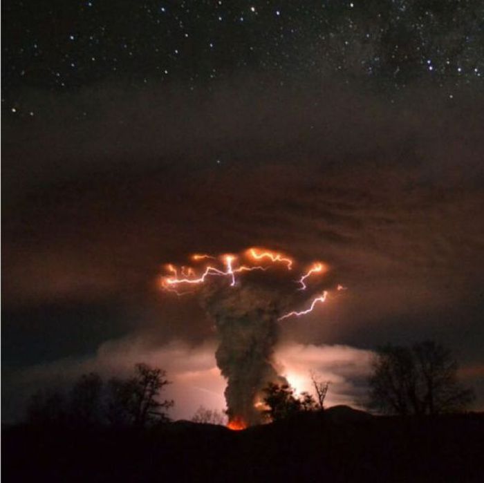 Прикольные картинки (93 фото)