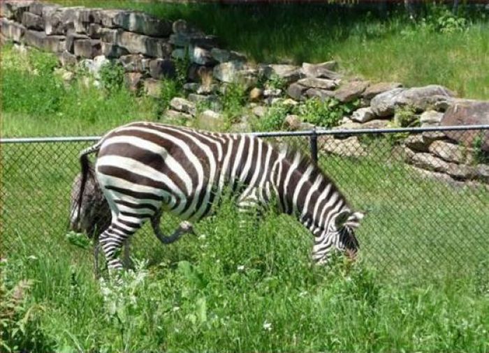 Прикольные картинки (107 фото)