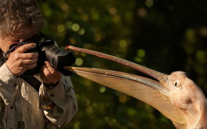 Прикольные картинки (107 фото)