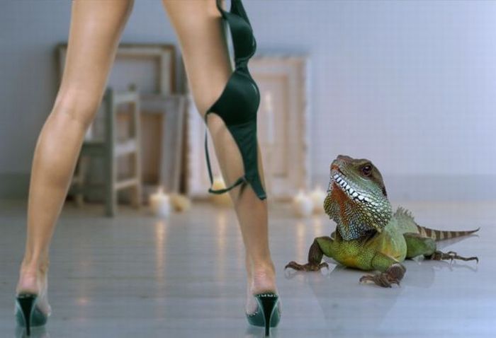 Прикольные картинки (107 фото)