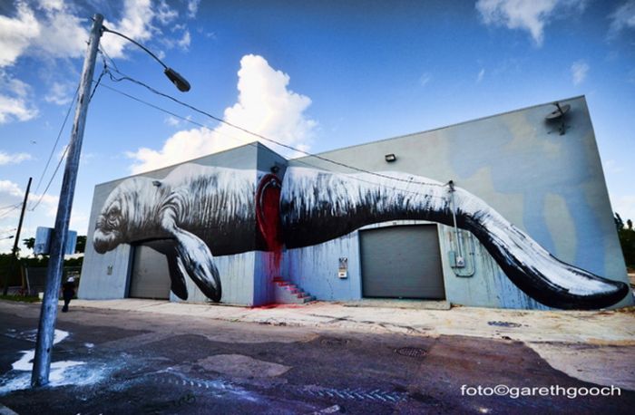 Прикольные картинки (107 фото)