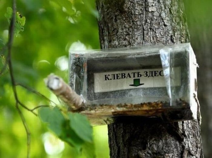 Прикольные картинки (107 фото)