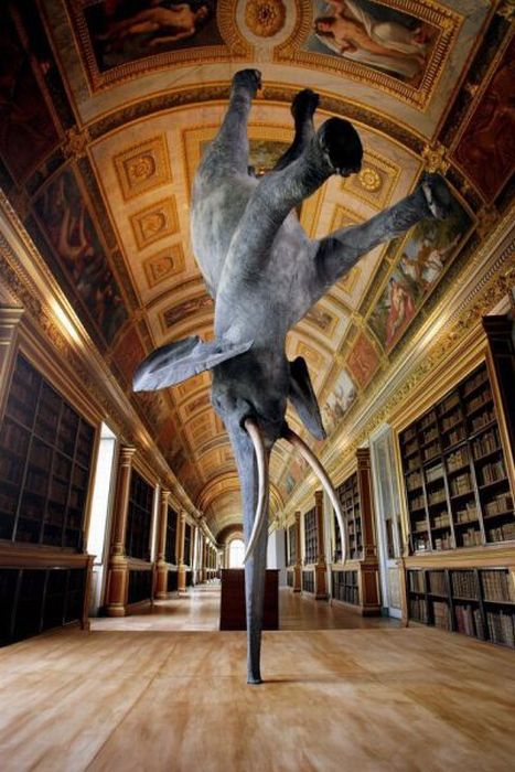 Прикольные картинки (107 фото)