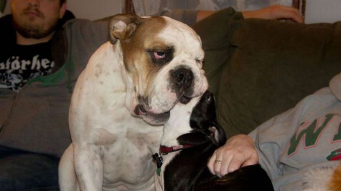 Прикольные картинки (80 фото)