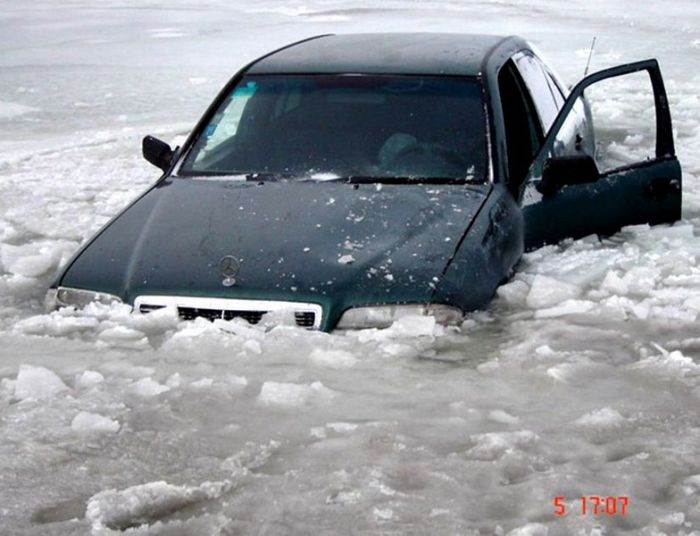 Прикольные картинки (102 фото)