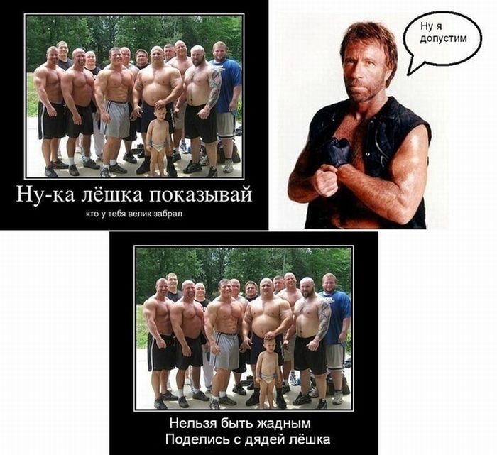 Прикольные картинки (102 фото)