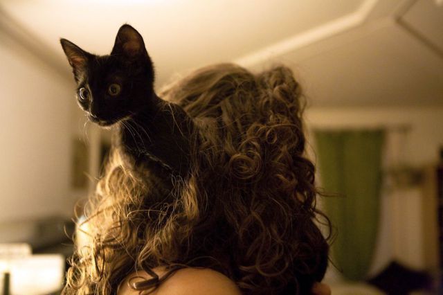 Прикольные картинки (102 фото)