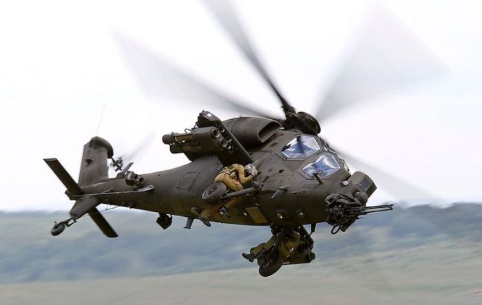 Прикольные картинки (102 фото)