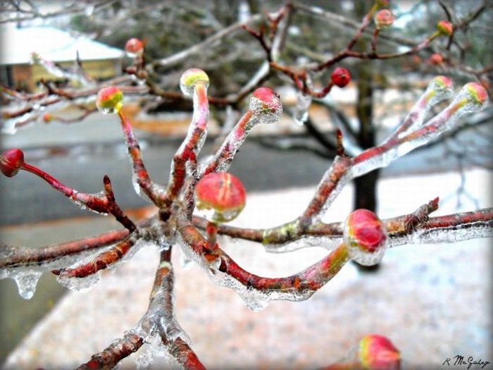 Прикольные картинки (110 фото)