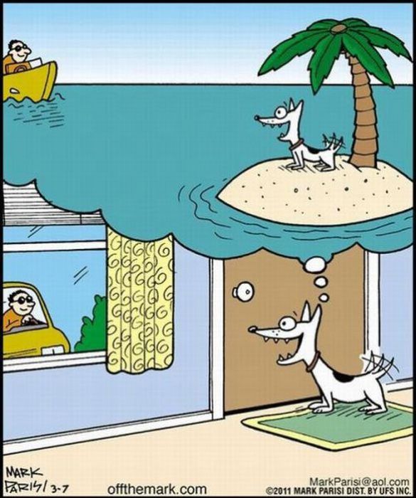 Прикольные картинки (110 фото)