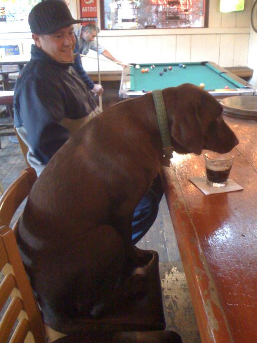 Прикольные картинки (110 фото)