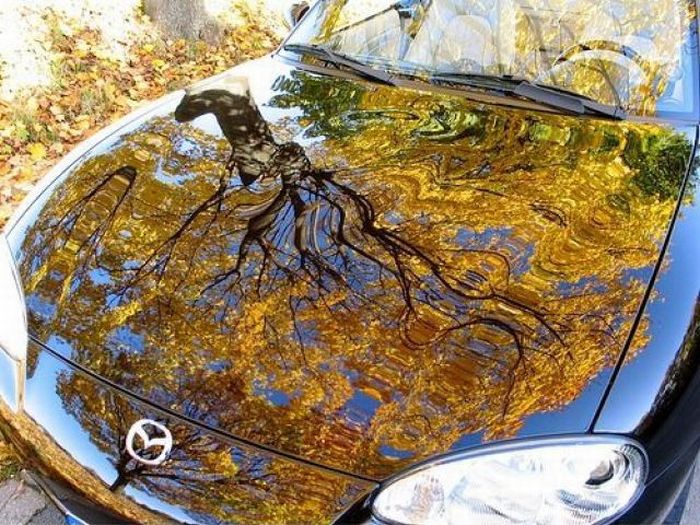 Прикольные картинки (92 фото)