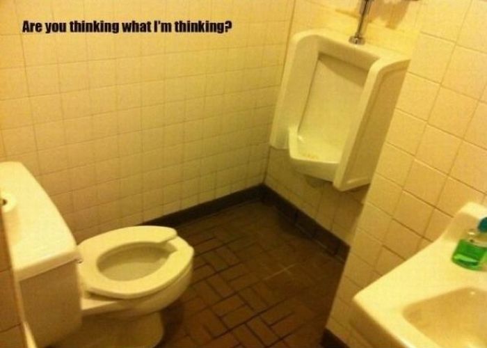 Прикольные картинки (92 фото)