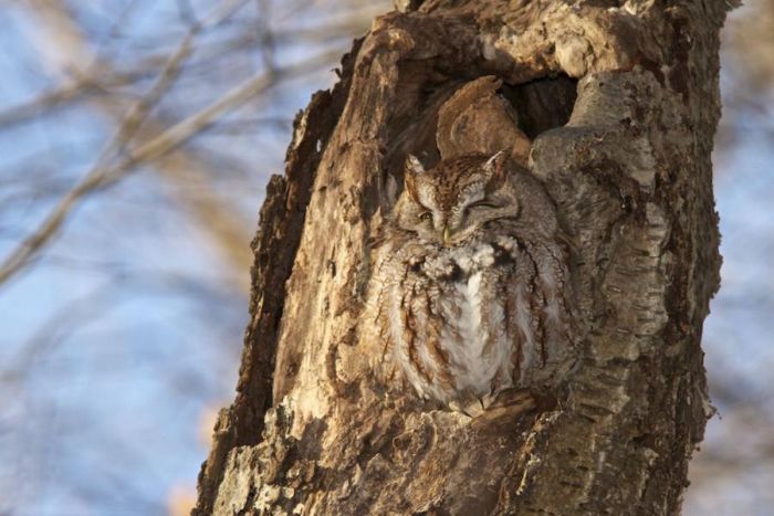 Прикольные картинки (92 фото)