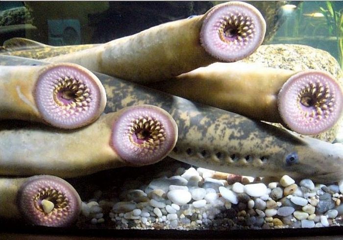 Прикольные картинки (92 фото)