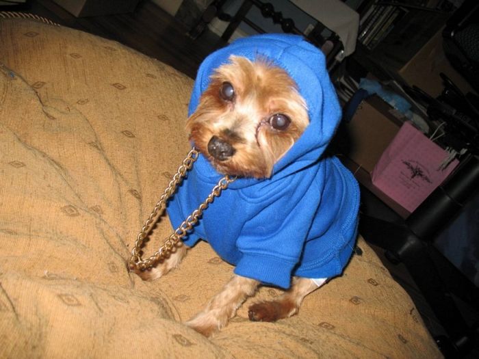 Прикольные картинки (92 фото)