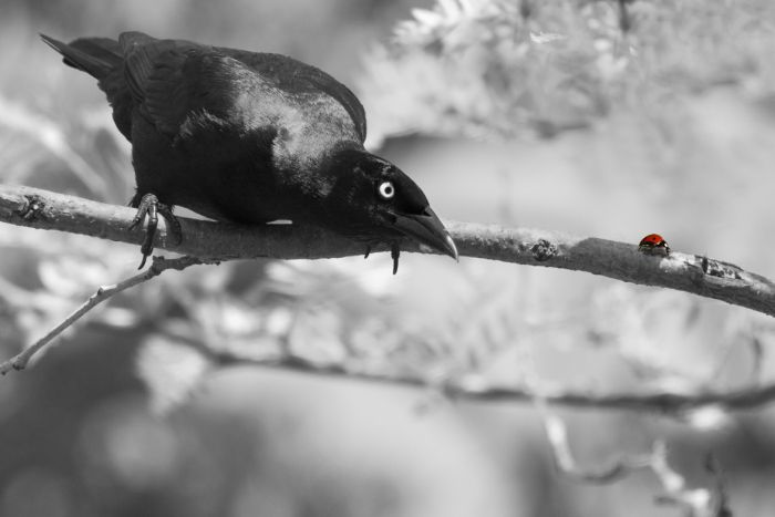 Прикольные картинки (120 фото)