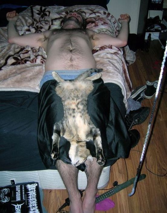 Прикольные картинки (120 фото)