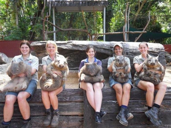 Прикольные картинки (120 фото)