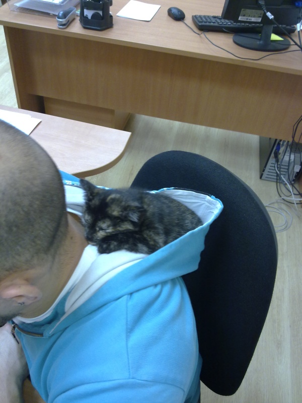 Прикольные картинки Прикольные картинки
