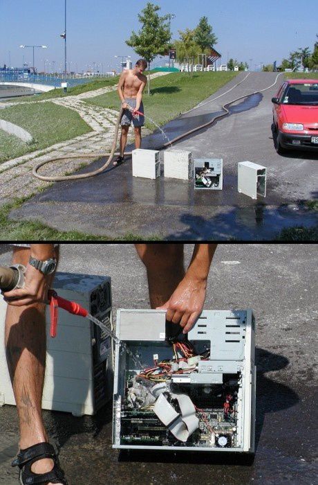 Прикольные картинки