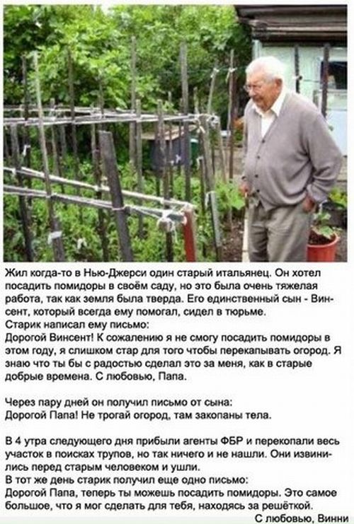 Прикольные картинки