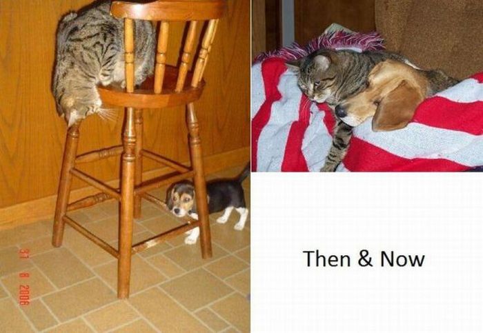 Прикольные картинки