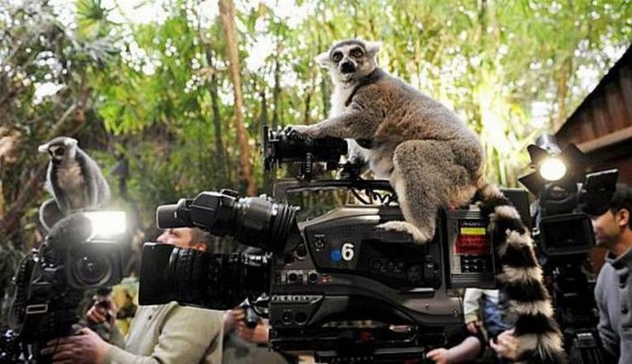 Прикольные картинки