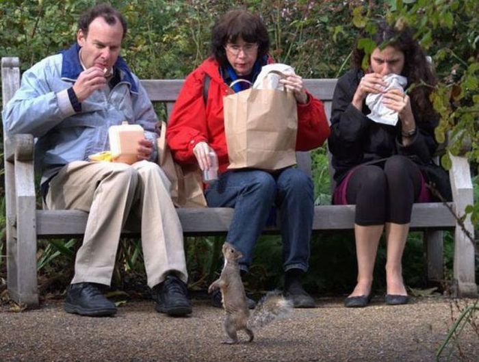 Прикольные картинки