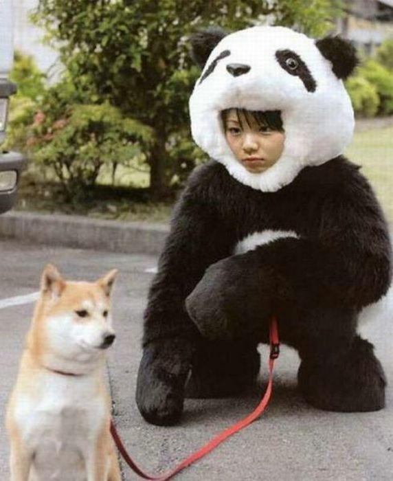 Прикольные картинки