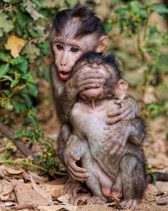 Прикольные картинки (90 фото)